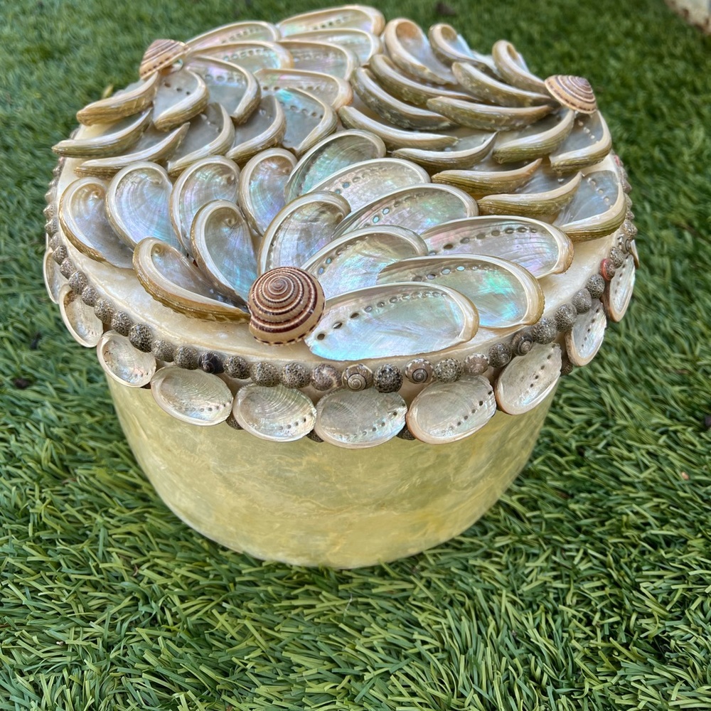 Vintage hard plastic shell box